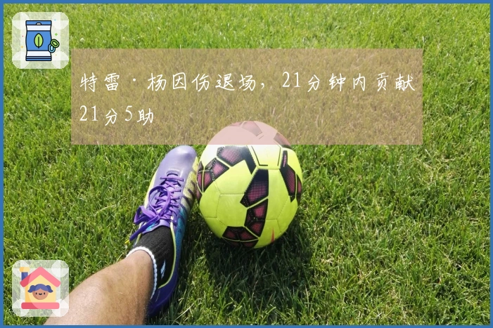 特雷·杨因伤退场，21分钟内贡献21分5助